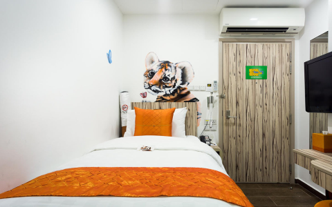Shenzhen spa experience: whats it like? Uncover top treatments for total body relaxation!