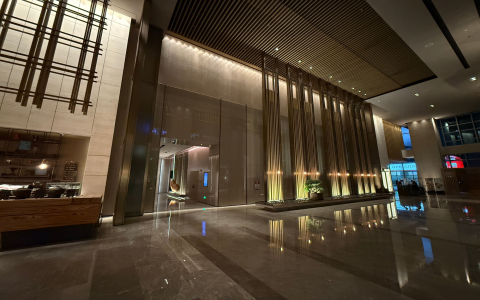 How to access the Shenzhen Luohu Spa Forum URL? Easy steps to join the spa community online.