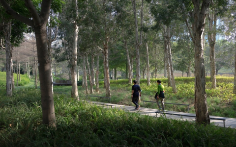 Shenzhen Xiyue Water Club 8036: What services are actually offered? A simple guide to understanding it all.