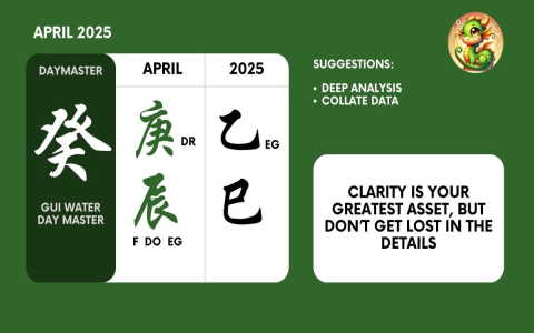 How to choose Baiyun 98 Shui Hui JS? Master these simple tips for the best pick.